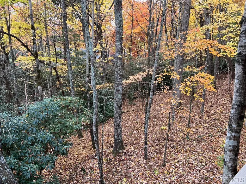 Lot 81 Bald Eagle Court Sapphire NC 28774