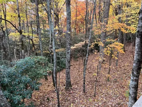 Lot 81 Bald Eagle Court Sapphire NC 28774