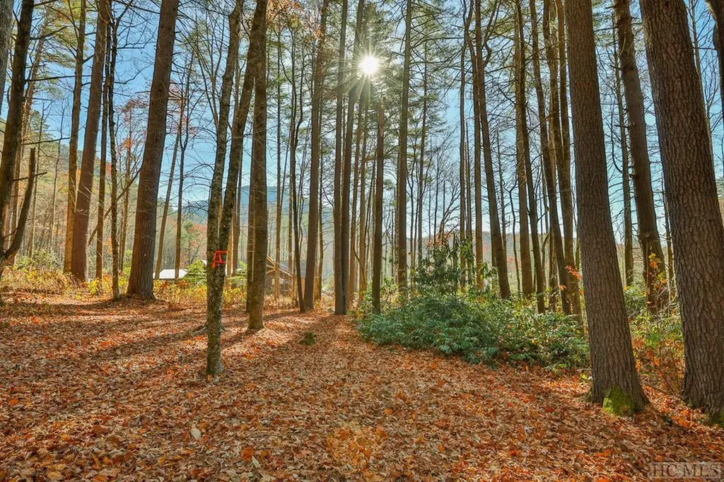 80 Flagstone Road Cashiers NC 28717