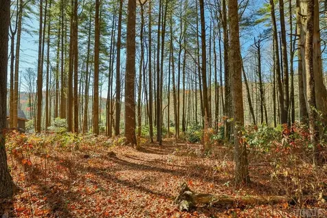 80 Flagstone Road Cashiers NC 28717