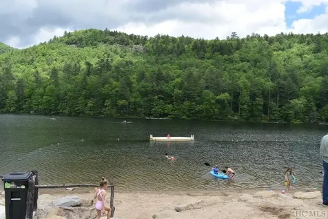 441 Blackberry Trail Sapphire NC 28744