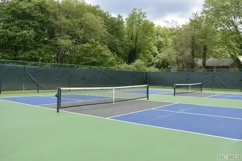 441 Blackberry Trail Sapphire NC 28744