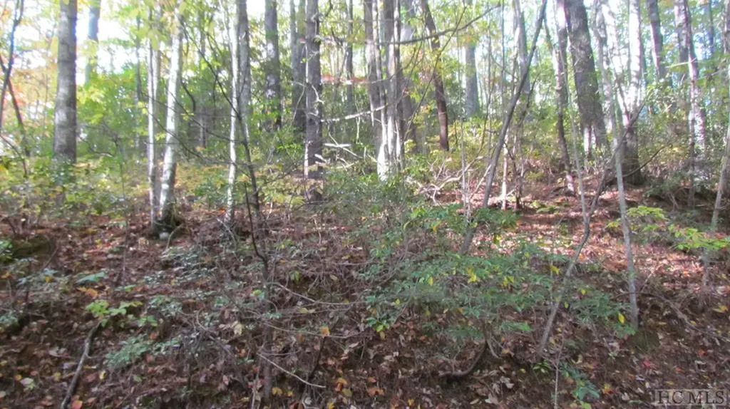 Lot #113 West Christy Trail Sapphire NC 28774