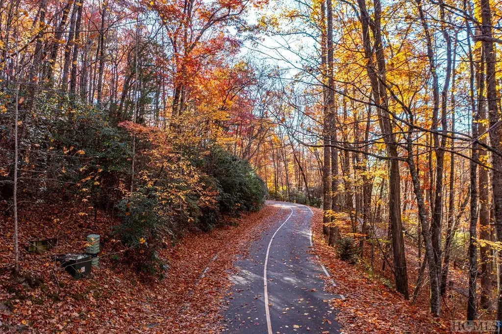 Lot 86 W W Christy Trail Sapphire NC 28774