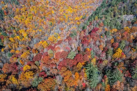 Lot 86 W W Christy Trail Sapphire NC 28774