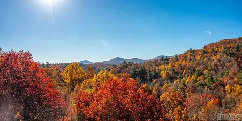Lot 86 W W Christy Trail Sapphire NC 28774