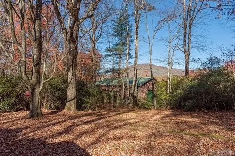 97 Walter Mcneely Road Sapphire NC 28774