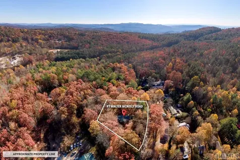 97 Walter Mcneely Road Sapphire NC 28774