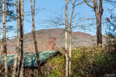 97 Walter Mcneely Road Sapphire NC 28774