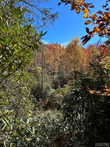 Lot 269 Beaver Court Sapphire NC 28774