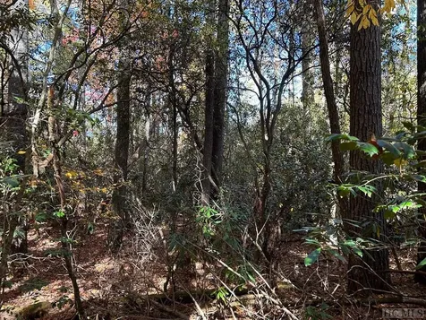 Lot 269 Beaver Court Sapphire NC 28774