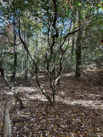 Lot 269 Beaver Court Sapphire NC 28774
