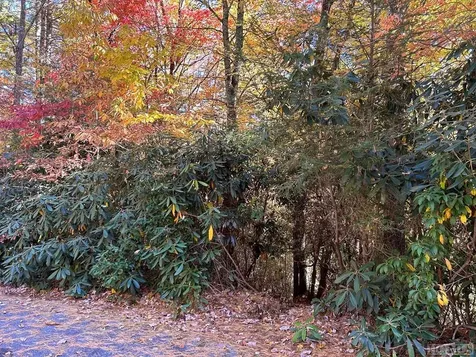 Lot 269 Beaver Court Sapphire NC 28774