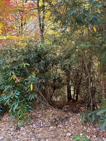 Lot 269 Beaver Court Sapphire NC 28774