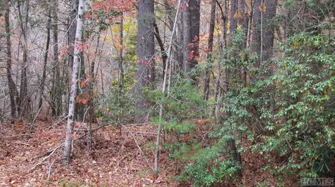 Lot #74 Big Pine Road Sapphire NC 28774