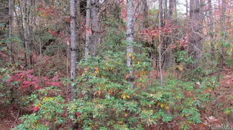 Lot #74 Big Pine Road Sapphire NC 28774