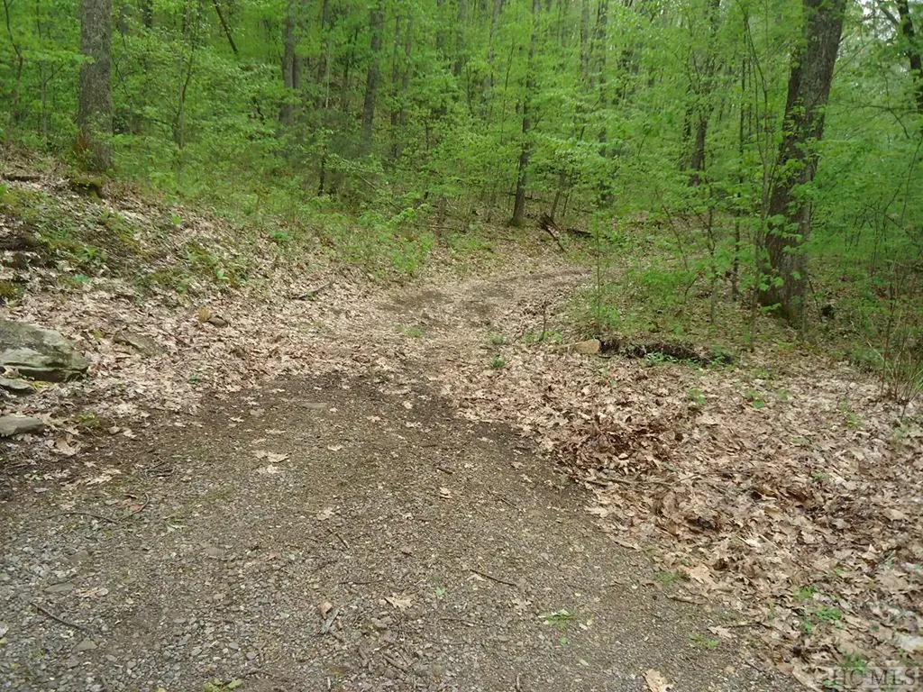 Lot 23 Sourwood Court Sapphire NC 28774