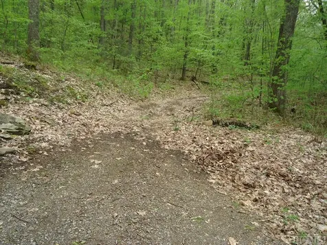 Lot 23 Sourwood Court Sapphire NC 28774