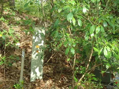 Lot 23 Sourwood Court Sapphire NC 28774