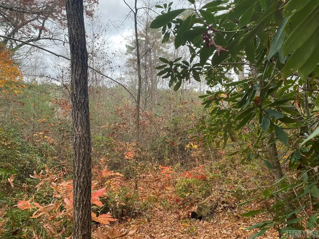 Lot 6 Wildfowl Way Cashiers NC 28717