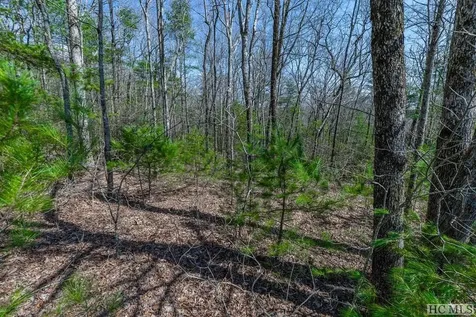 119 Round Top Mountain Road Sapphire NC 28774