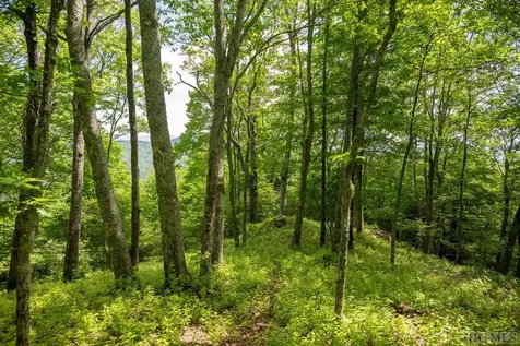 TR19/TR4 Sassafras Ridge Sapphire NC 28774