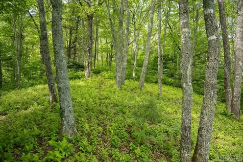 TR19/TR4 Sassafras Ridge Sapphire NC 28774