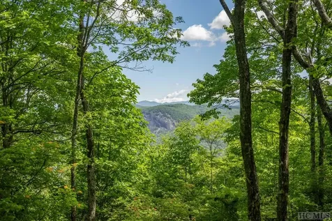 TR19/TR4 Sassafras Ridge Sapphire NC 28774