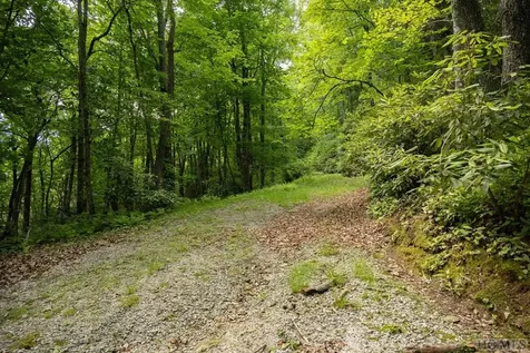 TR19/TR4 Sassafras Ridge Sapphire NC 28774