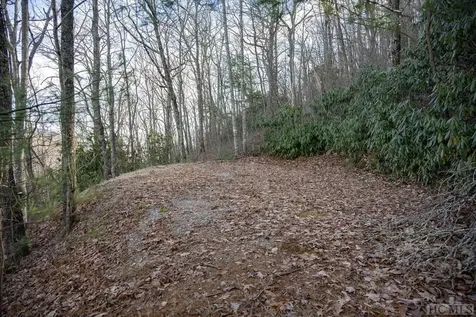 TR19/TR4 Sassafras Ridge Sapphire NC 28774