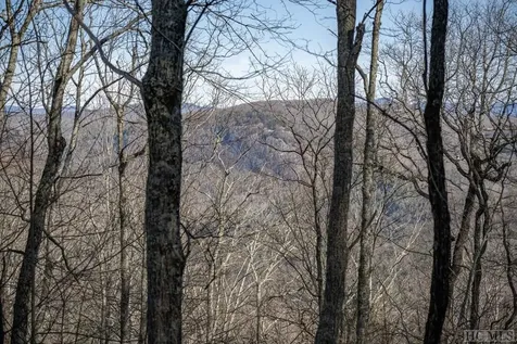 TR19/TR4 Sassafras Ridge Sapphire NC 28774