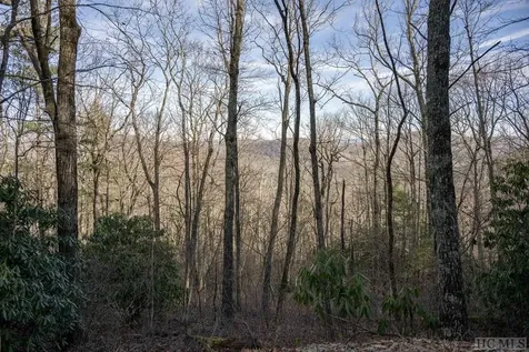 TR19/TR4 Sassafras Ridge Sapphire NC 28774