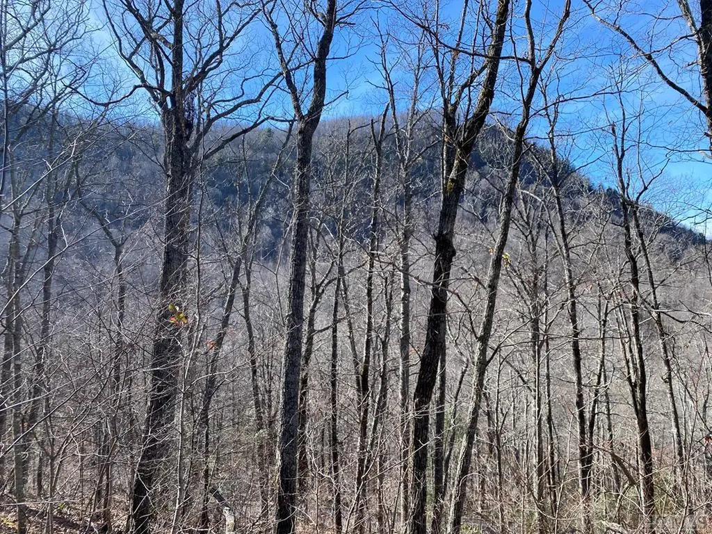 Lot 73 Pilot Knob Road Glenville NC 28736