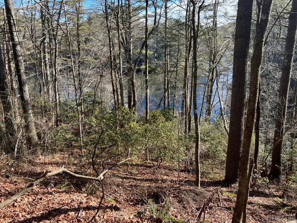 LOT26,27 W Christy Trail Sapphire NC 28774