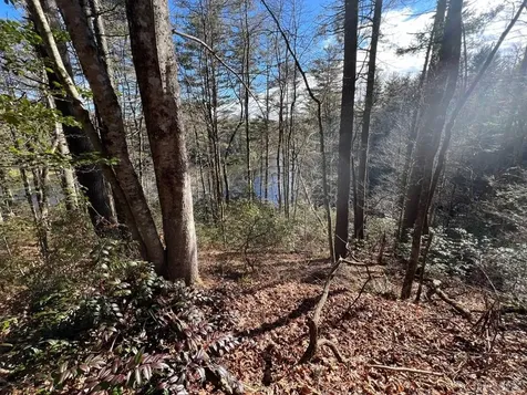 LOT26,27 W Christy Trail Sapphire NC 28774