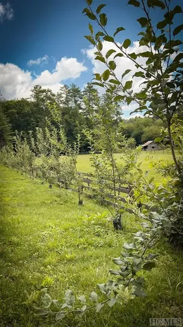 Lot 35 Glencove Drive Cashiers NC 28717