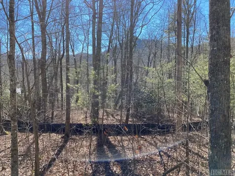 Lot 14 Glencove Drive Cashiers NC 28717