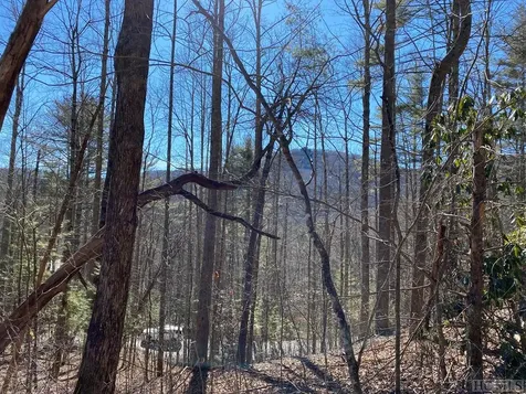 Lot 14 Glencove Drive Cashiers NC 28717