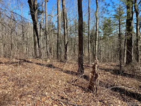 Lot 14 Glencove Drive Cashiers NC 28717