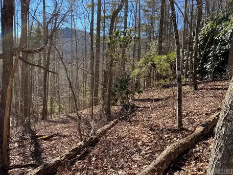 Lot 14 Glencove Drive Cashiers NC 28717