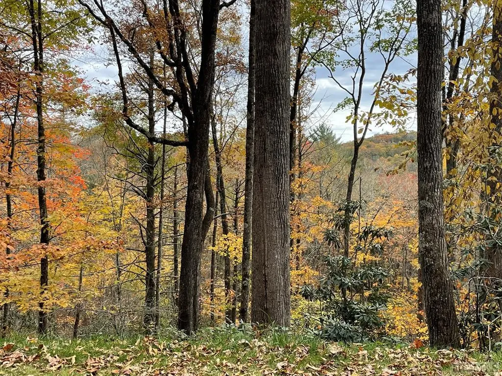 Lot 13 Glencove Drive Cashiers NC 28717