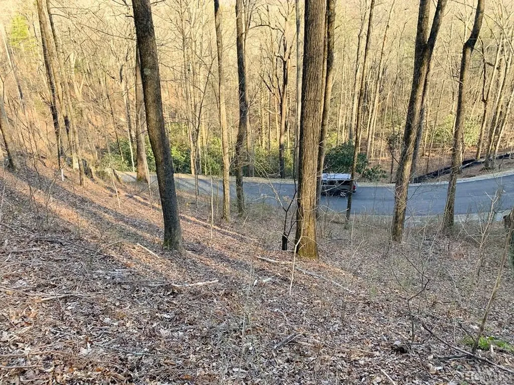Lot 13 Glencove Drive Cashiers NC 28717