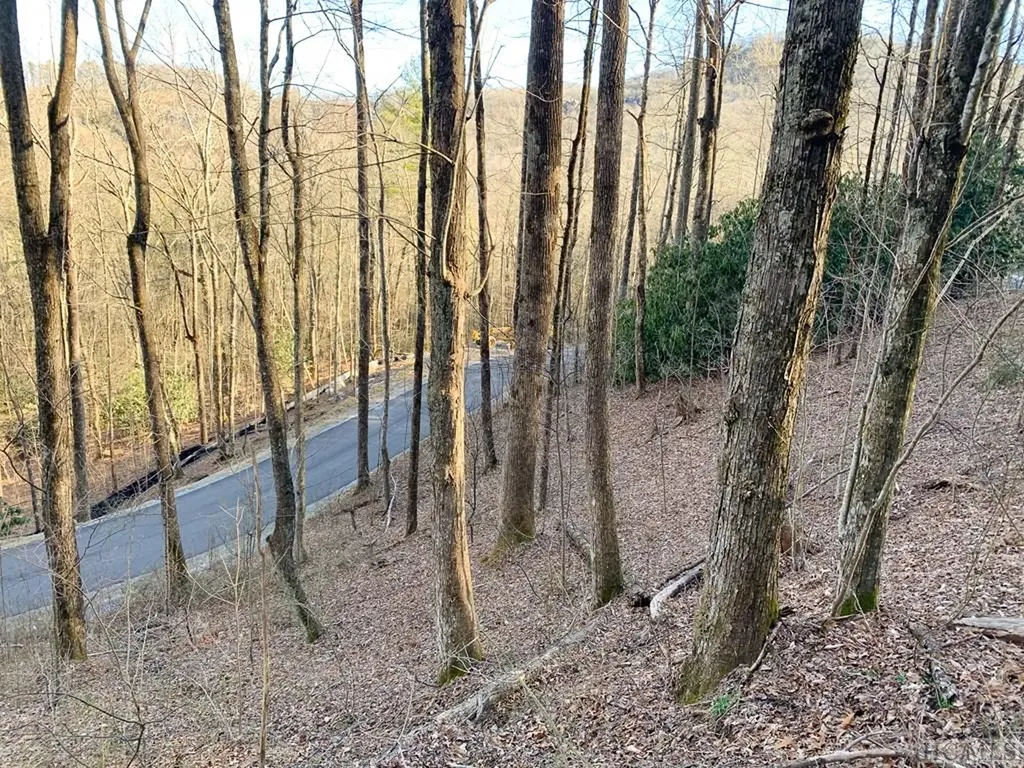Lot 13 Glencove Drive Cashiers NC 28717