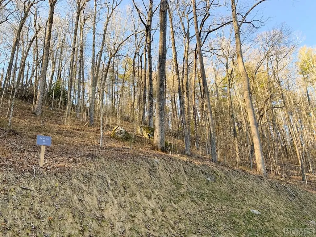 Lot 13 Glencove Drive Cashiers NC 28717