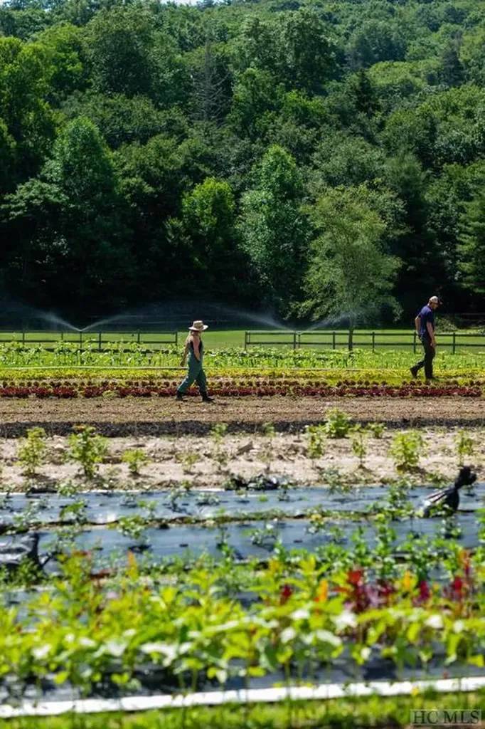 Lot 13 Glencove Drive Cashiers NC 28717