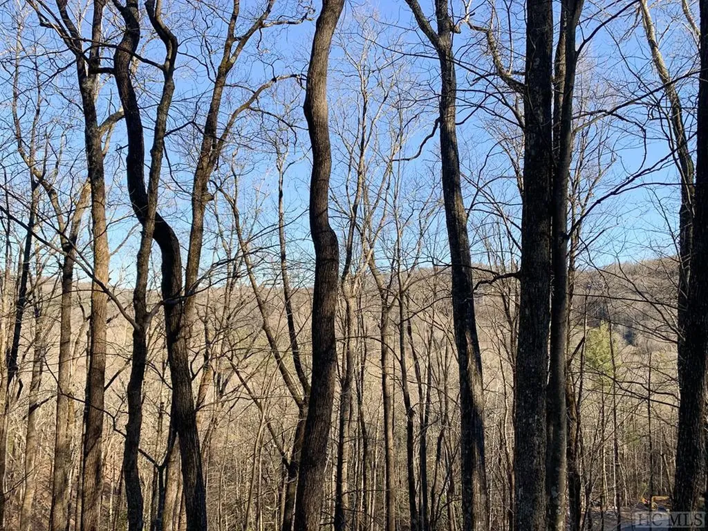 Lot 13 Glencove Drive Cashiers NC 28717