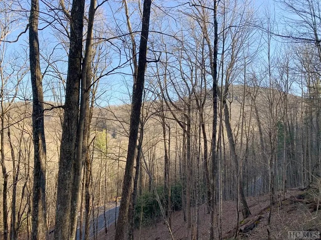 Lot 13 Glencove Drive Cashiers NC 28717