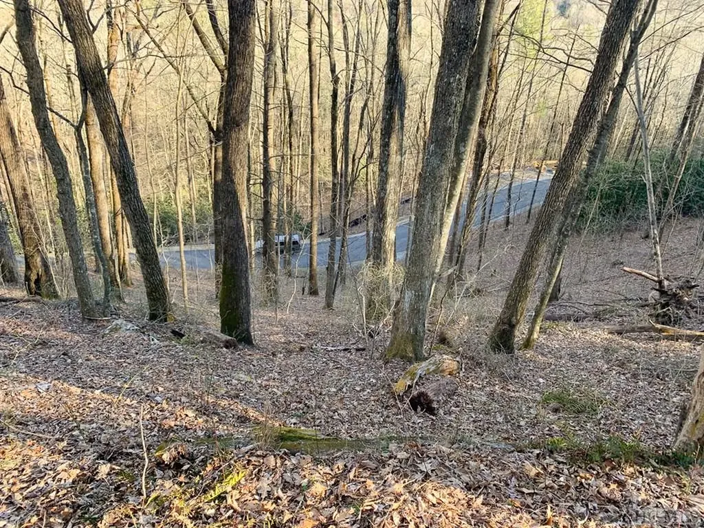 Lot 13 Glencove Drive Cashiers NC 28717