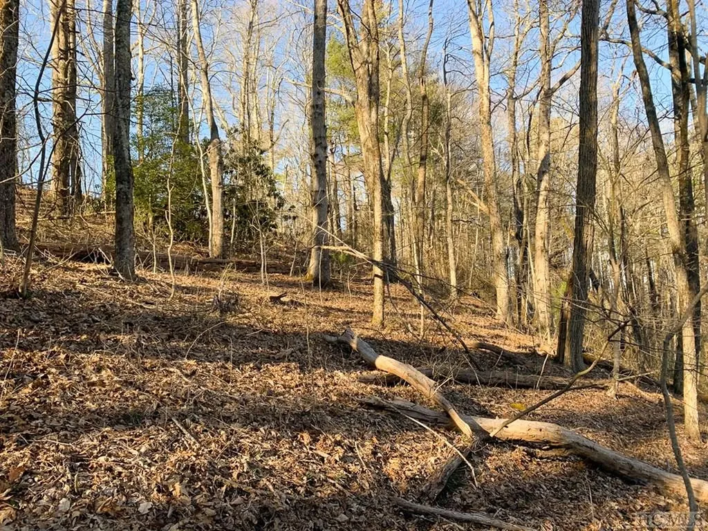 Lot 13 Glencove Drive Cashiers NC 28717