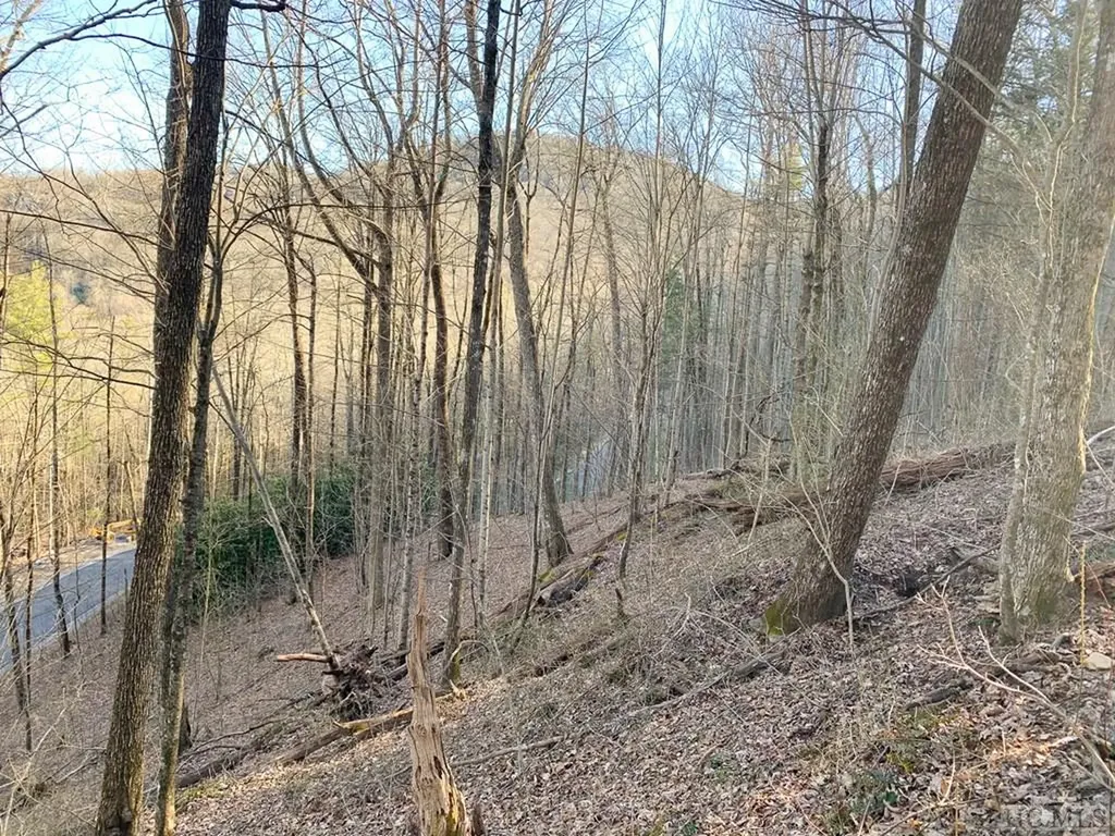 Lot 13 Glencove Drive Cashiers NC 28717